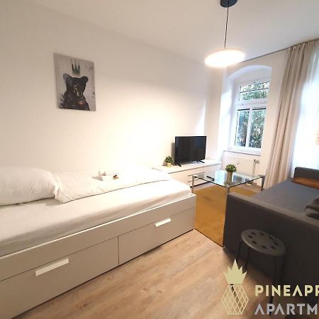 דרזדן Ruhiges Hinterhof Apartment Im Herzen Der Neustadt מראה חיצוני תמונה